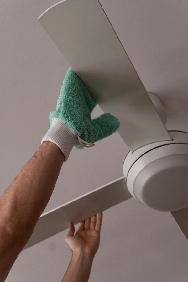 Dusting Glove