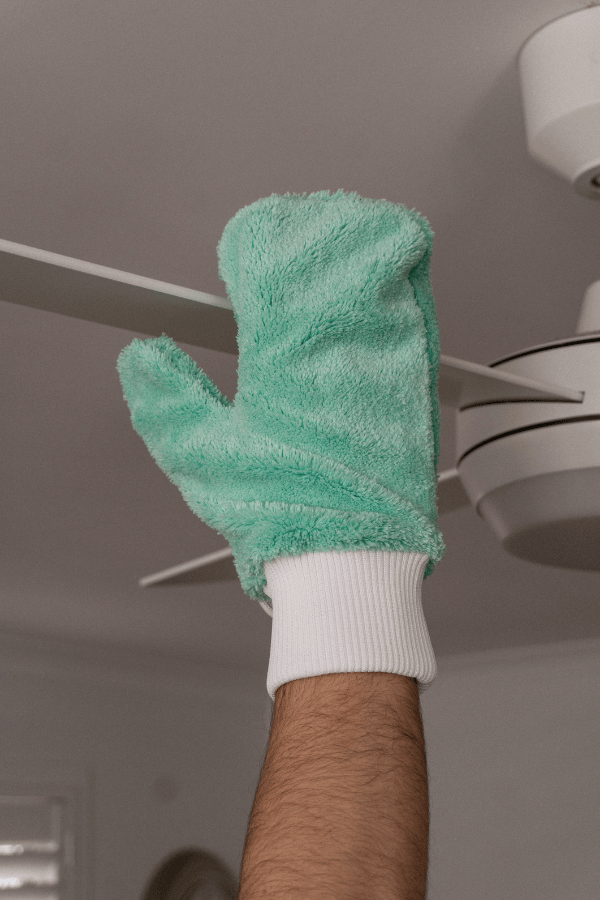 Dusting Glove