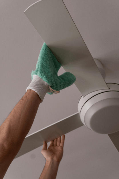 Dusting Glove