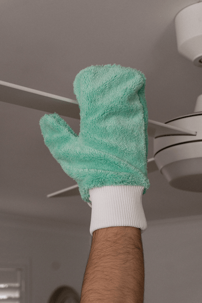 Dusting Glove